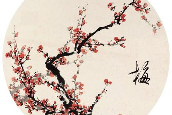 紫薇斗数入门梅花