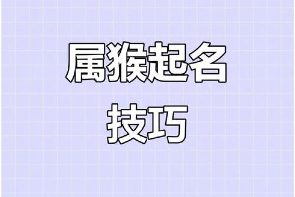 6月份出生的属猴男孩什么名最好-姓名