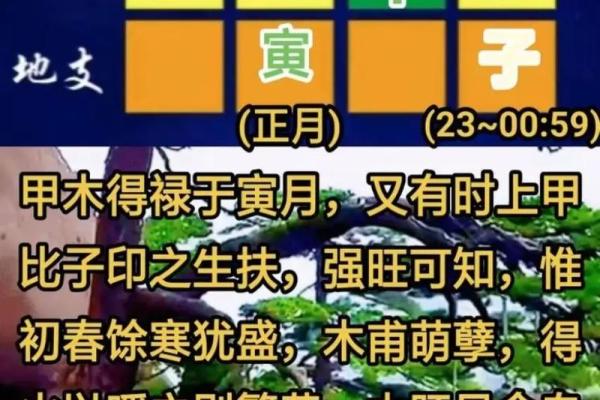 八字-论寅月癸日甲寅时