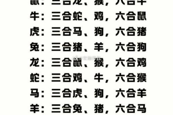 八字合狗是