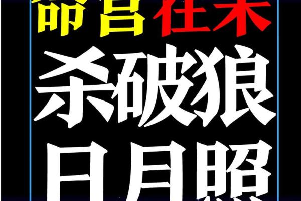 紫薇斗数断盘
