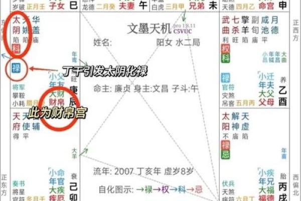 紫薇斗数丁年