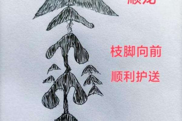 龙脉风水_各有什么特征