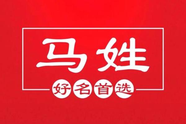 2月份出生的属马男孩起什么名字好姓名