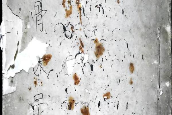 白鹤老师算命不准