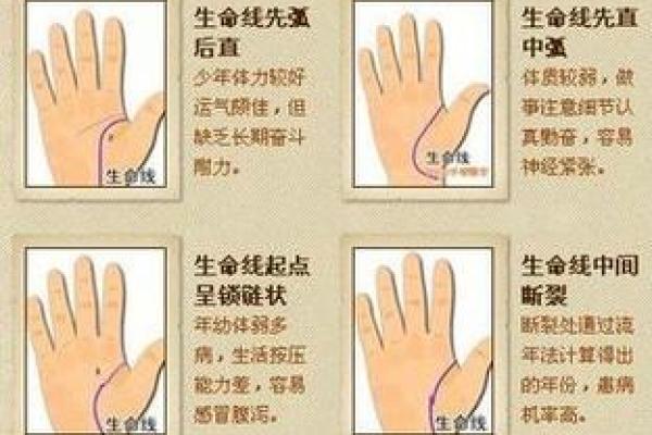 凯帝阿手相算命图解大全02