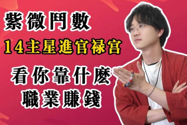 男女都怕入错行！紫薇斗数官禄宫看终身适合的职业