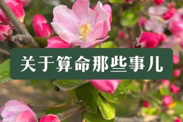 为什么算命不能到处说事