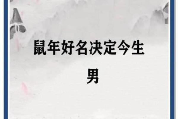 晚上9点出生的属鼠男孩好名推荐姓名
