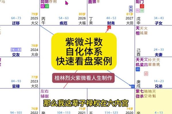 【紫微斗数】排盘技巧037：紫微斗数的国际交流