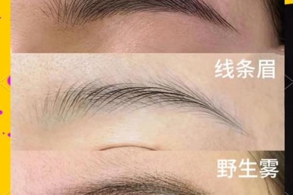 风水角度什么眉毛最好看最招财：长眉