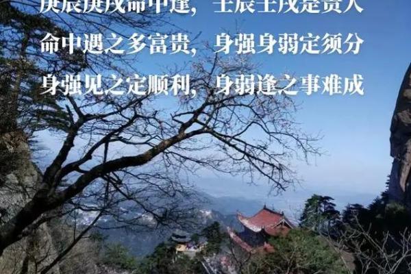 庚戌魁罡八字带正官