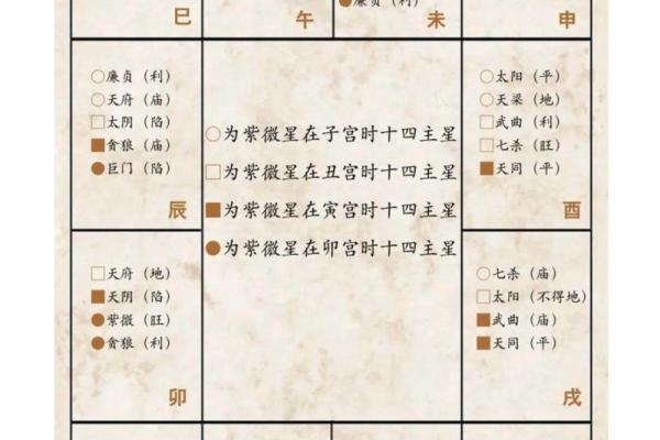 紫微斗数术语解释之：星曜的简称