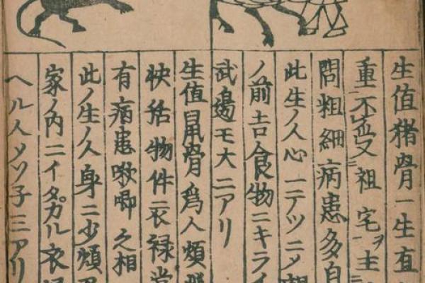 彝族更好的算命书是什么