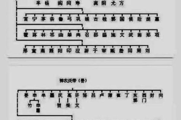 中国姓氏的由来-姓名学-姓名分析姓名