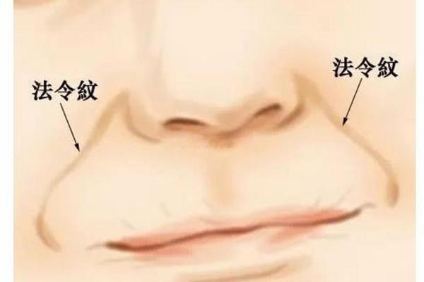 从法令纹看相算命