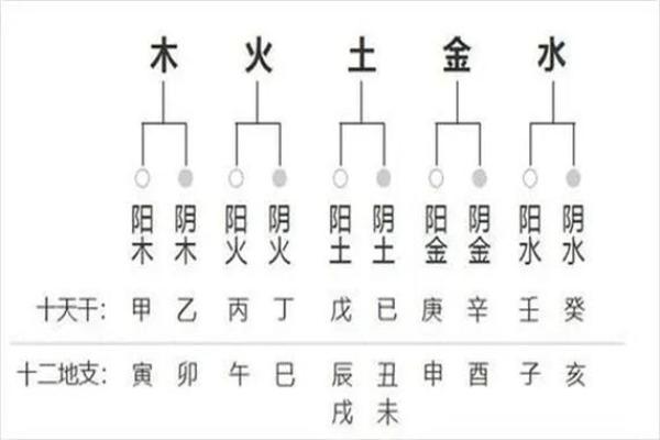 当我学会了看四柱八字怎么办