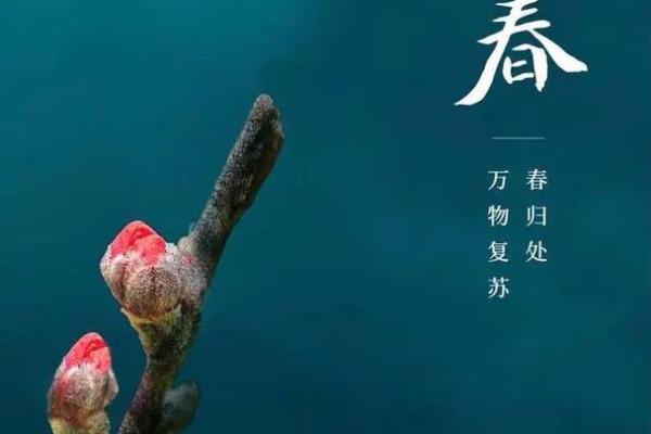 八字算命如何定立春