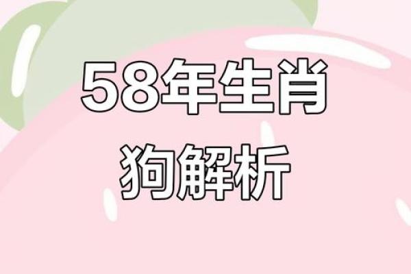 下午出生的属狗男孩取什么名，宜用什么字姓名