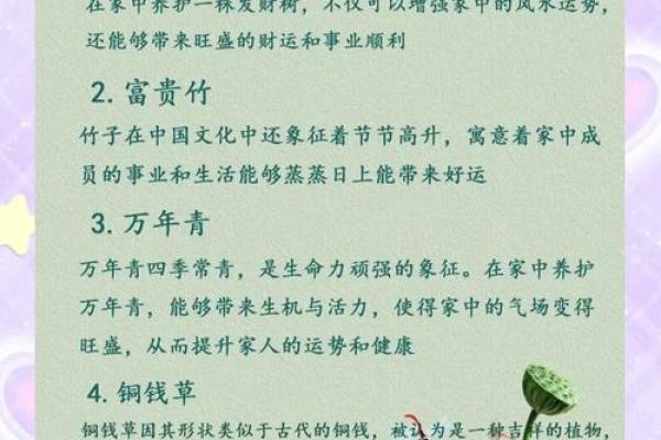 如何利用风水让丈夫的事业顺利