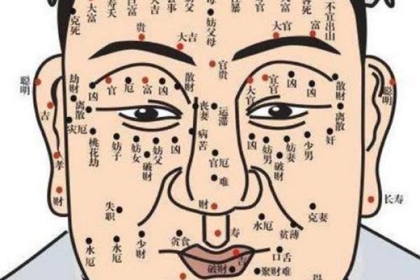面相：眉形与命运，眉有断痕为什么不好？眉顺为好相，眉毛散乱多忧愁，八字眉个性随和
