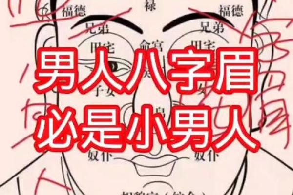 面相：眉形与命运，眉有断痕为什么不好？眉顺为好相，眉毛散乱多忧愁，八字眉个性随和