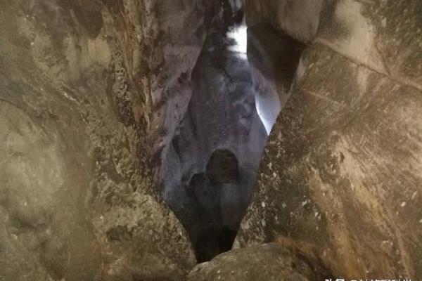 祖坟风水出现蛇鼠洞如何处理？