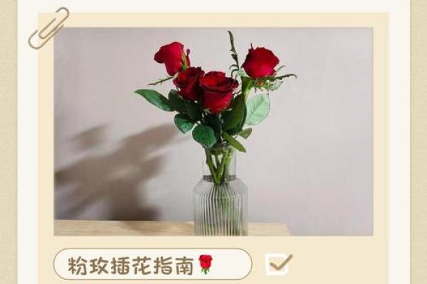 玫瑰插花风水