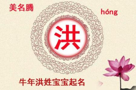 洪姓男孩名字大全-洪姓男孩起名字大全-洪姓名字大全姓名
