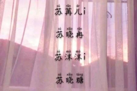 苏姓女孩名字大全-苏姓女孩起名字大全-苏姓名字大全姓名