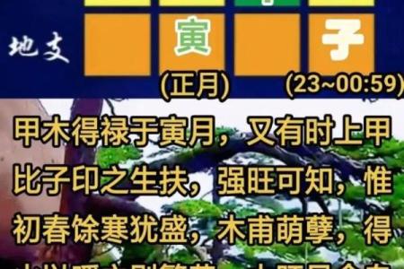 八字-论寅月癸日甲寅时