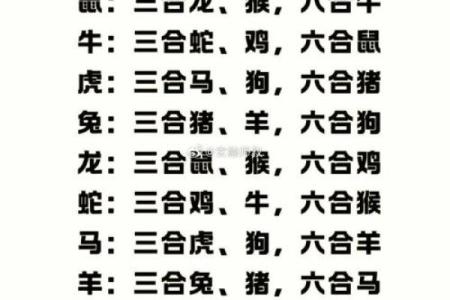 八字合狗是