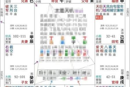 年紫薇星盘查询