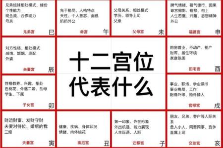 紫薇斗数象意