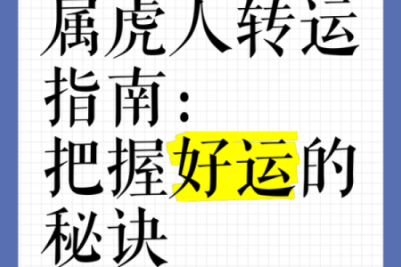 属虎办公室风水布局 几个简单方法可助你招来大好运