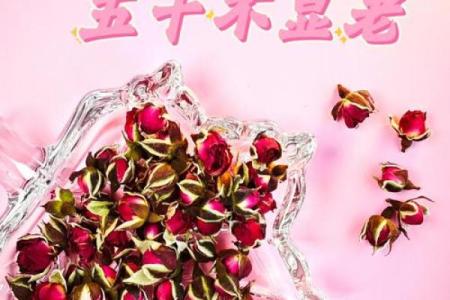 玫瑰花的风水和禁忌