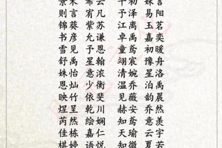 属猪巳时出生的男孩如何取名字，适合用什么字姓名