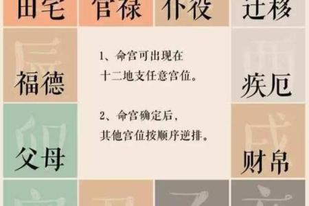 十二宫紫薇斗数