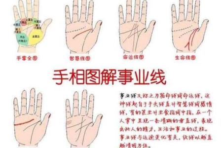凯帝阿手相算命图解大全02