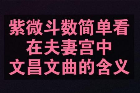 紫薇斗数看耳鸣