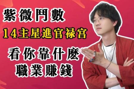 男女都怕入错行！紫薇斗数官禄宫看终身适合的职业