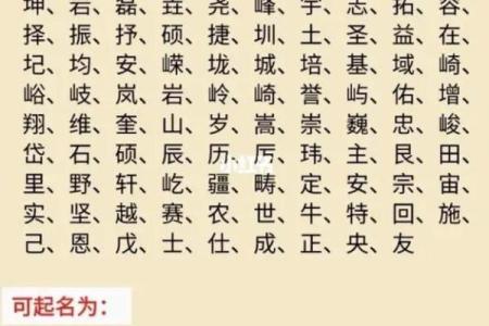 起名字免费八字起名周易,起名字2024免费八字起名周易