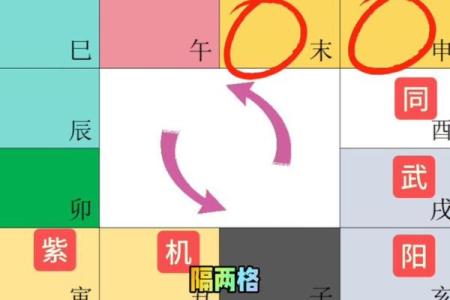 紫薇斗数盘