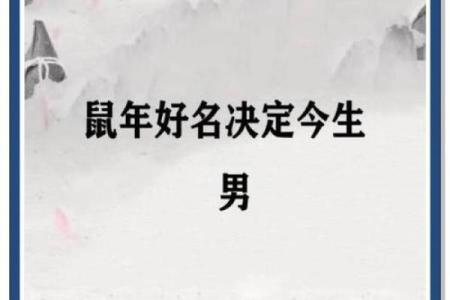 晚上9点出生的属鼠男孩好名推荐姓名