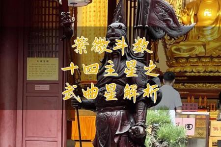 紫薇斗数武曲化科坐命辰宫