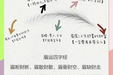 眉毛算命