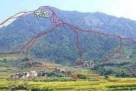为何祖坟风水与后人息息相关？