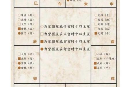 紫微斗数术语解释之：星曜的简称