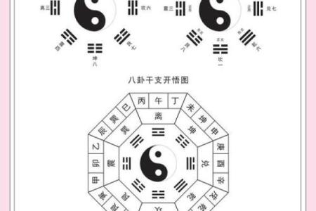 八字木少