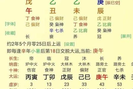八字己巳